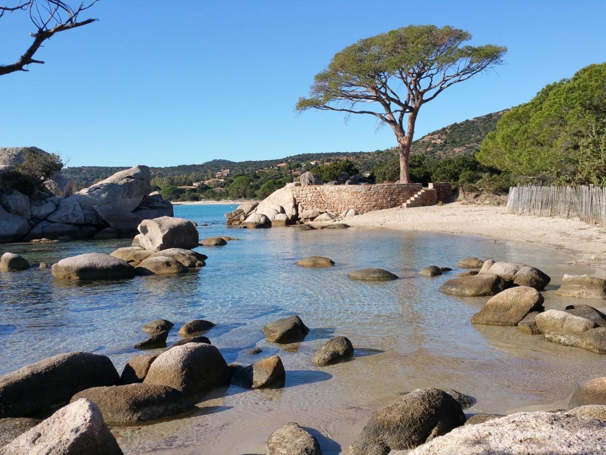 Residence Liccia Di Furu Porto-Vecchio  Kültér fotó
