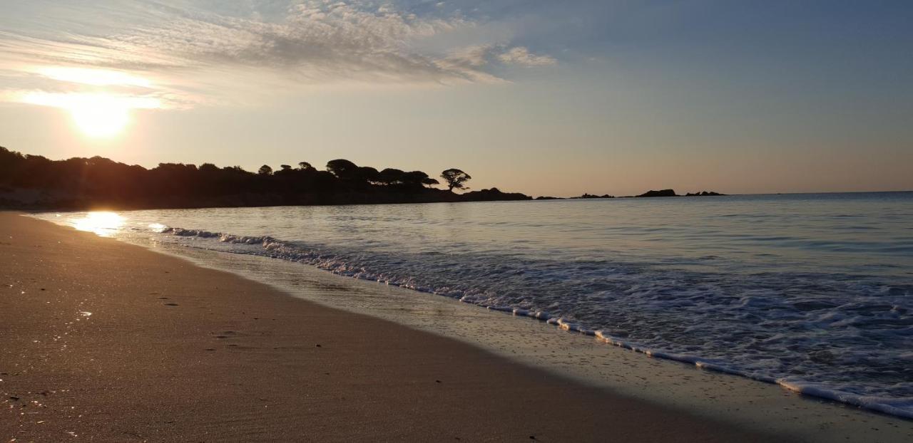 Residence Liccia Di Furu Porto-Vecchio  Kültér fotó